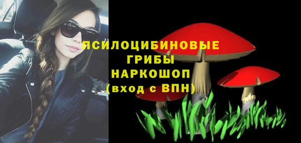 тгк Сатка