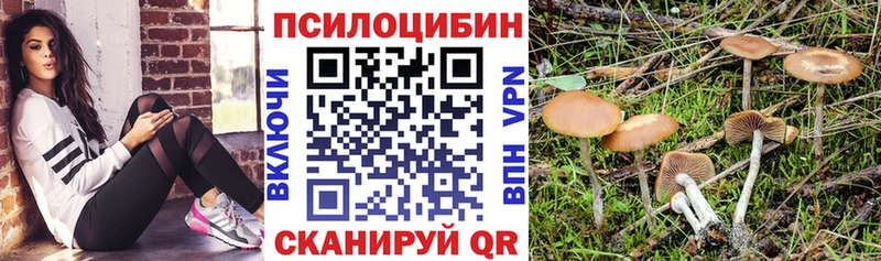 hydra ТОР  купить закладку  Волхов  Галлюциногенные грибы Magic Shrooms 