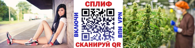 Бошки Шишки OG Kush  Волхов 